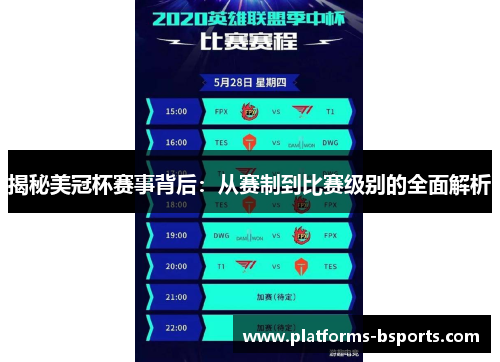 揭秘美冠杯赛事背后：从赛制到比赛级别的全面解析