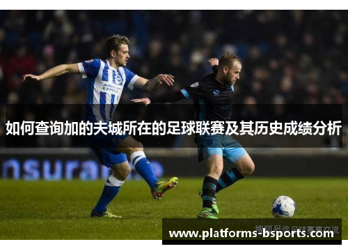 如何查询加的夫城所在的足球联赛及其历史成绩分析