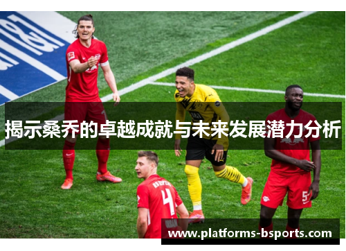 揭示桑乔的卓越成就与未来发展潜力分析