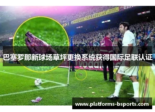 巴塞罗那新球场草坪更换系统获得国际足联认证